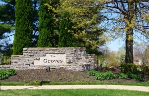 The Groves Oakbrook Home for sale Amy Chrisman